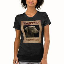 Le dobermann se précipitant