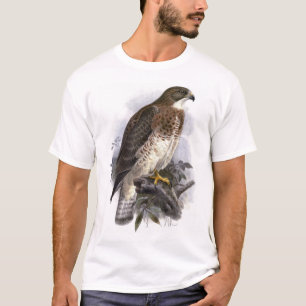 T-shirt Le faucon de Swainson, phase légère, femelle
