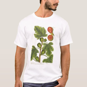 T-shirt Le figuier, plaquent 125 "d'un de fines herbes