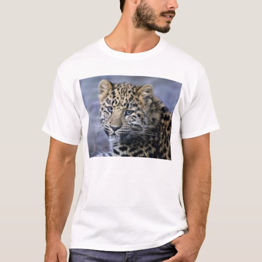 T-shirt Le léopard CUB piquent (Devant)
