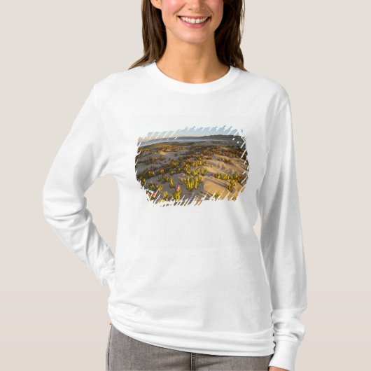 T-shirt Le lever du soleil illumine les dunes de sable et  (Devant)