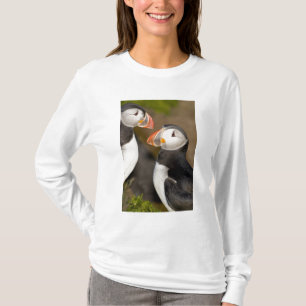 T-shirt Le Macareux Atlantique