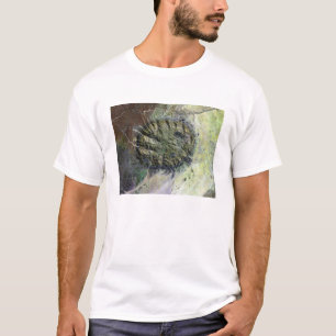 T-shirt Le massif de Brandberg en Namibie du nord