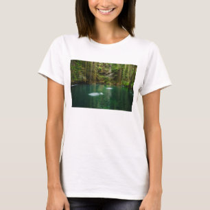 T-shirt Le Mexique, Yucatan, lac pittoresque
