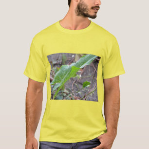 T-shirt Le nettoyage de la nature