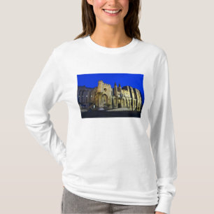 T-shirt Le Palais des Papes à Avignon au coucher du soleil