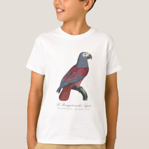 T-shirt Le Perroquet cendre Tapire