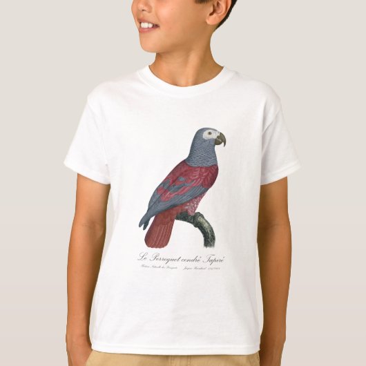 T-shirt Le Perroquet cendre Tapire (Devant)