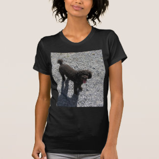 T-shirt Le petit caniche noir