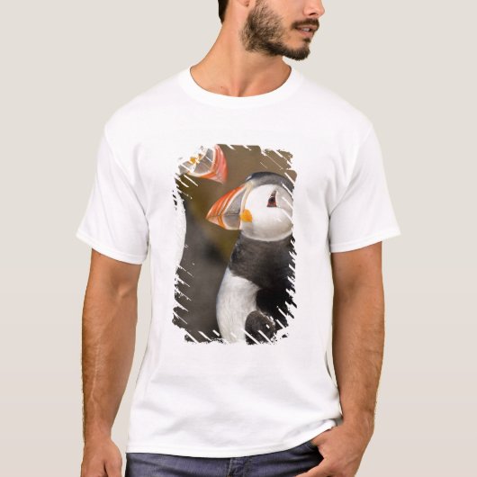 T-shirt Le Puffin Atlantique (Devant)