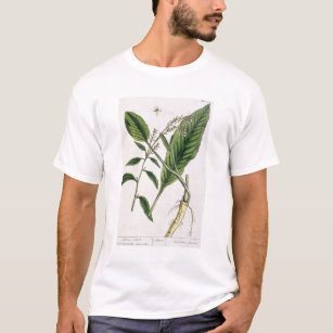T-shirt Le raifort, plaquent 415 "d'un de fines herbes