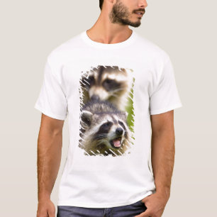 T-shirt Le raton laveur Procyon, est très répandu,