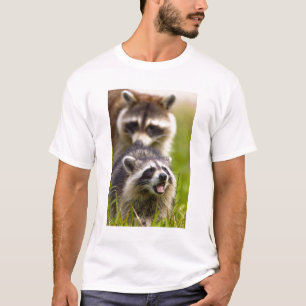 T-shirt Le raton laveur, Procyon lotor, est un mammifère o