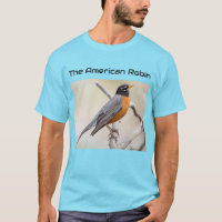 Le Robin américain