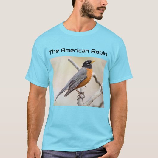 T-shirt Le Robin américain (Devant)