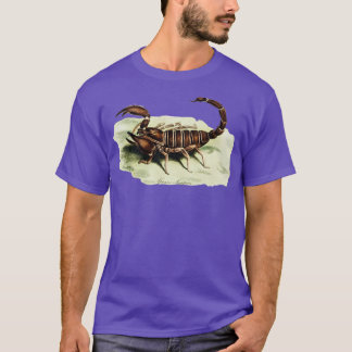 T-shirt Le scorpion africain