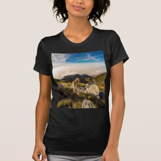 T-shirt Le voyage