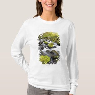 T-shirt L'eau coulant par la mousse a couvert des roches