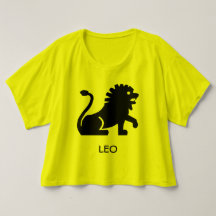 Leo Zodiac