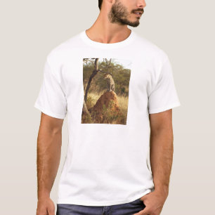 T-shirt Léopard sur le monticule de termite en Namibie