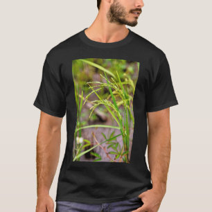T-shirt L'épi de riz en développement, un symbole de ferti