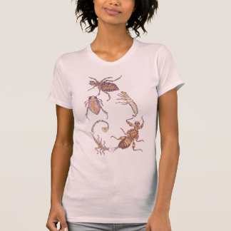 T-shirt Les bugs de Fibonacci sur l'eau douce
