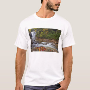 T-shirt Les chutes de verre dans le Pisgah National