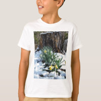 Les jonquilles jaunes dans la neige