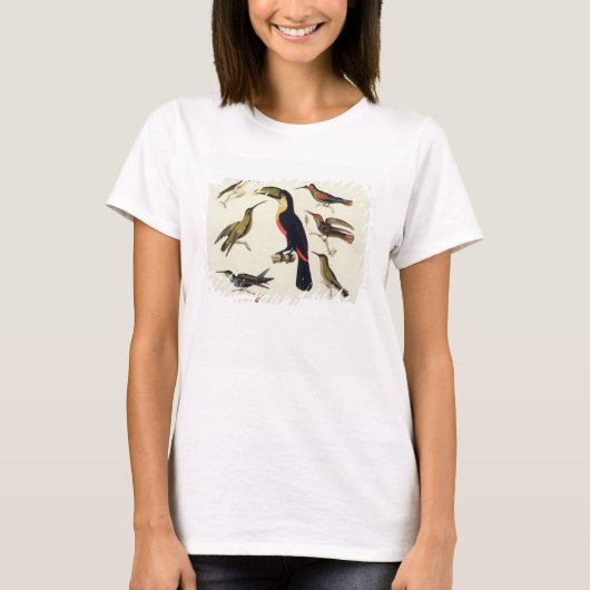 T-shirt Les oiseaux natifs, dont le Toucan (centre), Amazo (Devant)