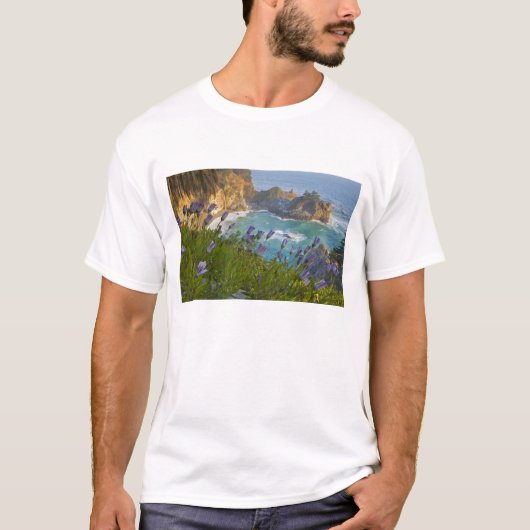 T-shirt Les Pittoresques McWay Falls tombent sur la plage. (Devant)