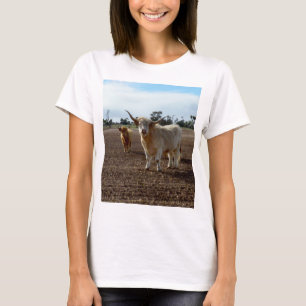 T-shirt Les Vaches Des Highlands Mangent Toute La Culture,