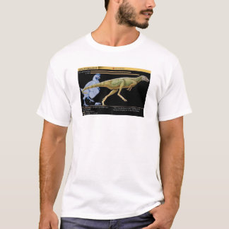 T-shirt Lesothosaurus - Biologie Dinosaure Jurassique