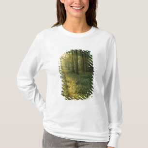 T-shirt Lever de soleil à travers la forêt de chêne et de