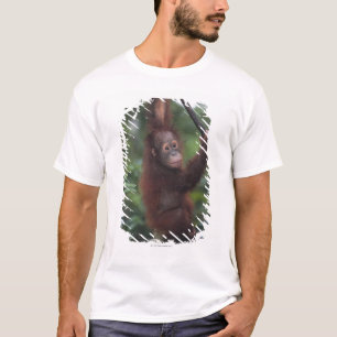 T-shirt Liane d'escalade de bébé d'orang-outan