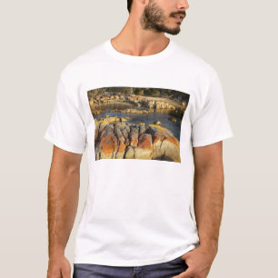 T-shirt Lichen orange sur des rochers, Binalong Bay, Baie