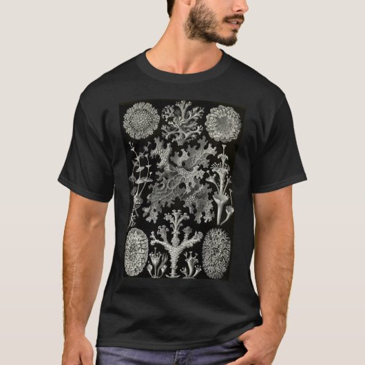 T-shirt Lichenes (Thallophytes - Lichens) - Ernst (Devant)