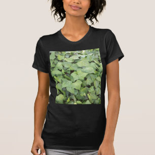T-shirt Lierre