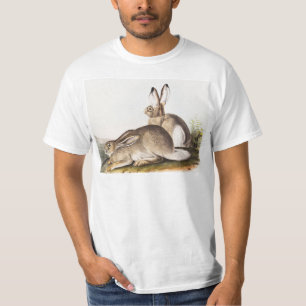 T-shirt Lièvre des Rocheuses de Townsend (Lepus Townsendii