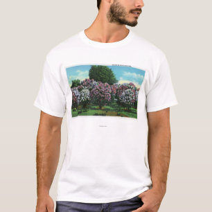 T-shirt Lilas de Highland Park en fleur