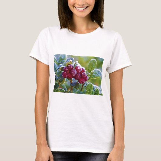 T-shirt Lingonberries congelées (Devant)