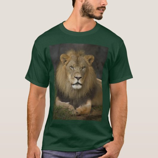 T-shirt Lion (Devant)