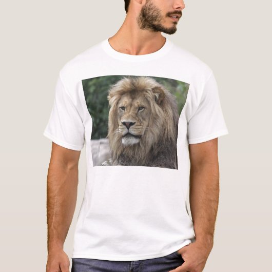 T-shirt Lion (Devant)