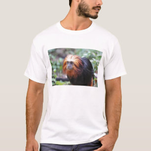 T-shirt Lion tamarin à tête dorée