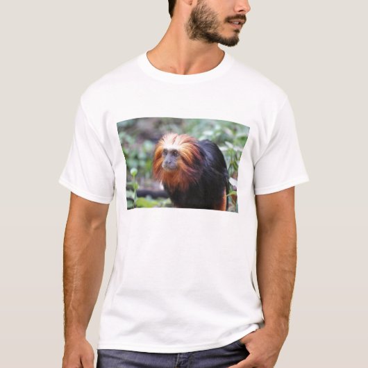 T-shirt Lion tamarin à tête dorée (Devant)