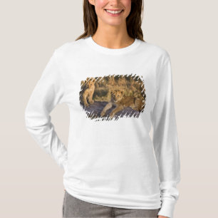 T-shirt Lionceaux sur rondin