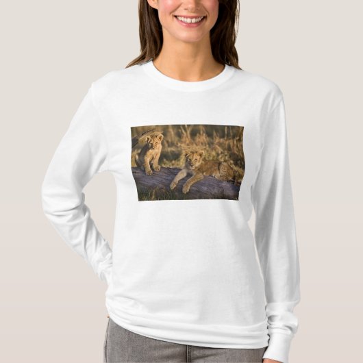 T-shirt Lionceaux sur une bûche (Devant)