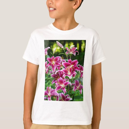 T-shirt Lis d'astronome (Devant)