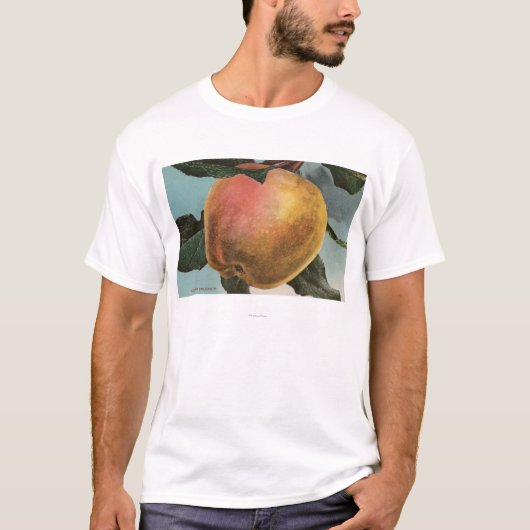 T-shirt Lithographie de Chromo de fruit de l'hiver blanc (Devant)