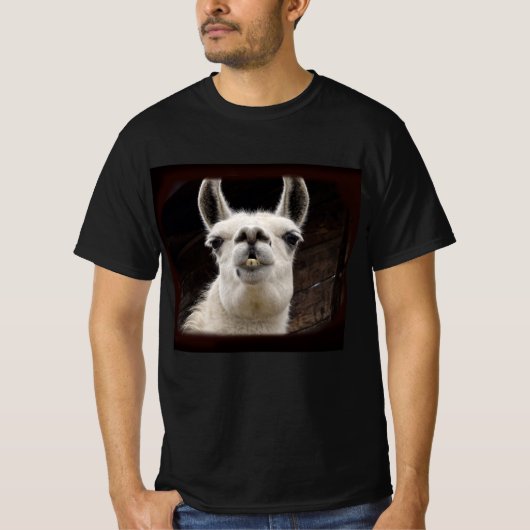 T-shirt Llama Drama – Ich hab dich im Blick (Devant)