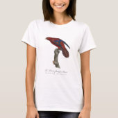 T-shirt Lori à queue brune, Trichoglossus borneus (Devant)